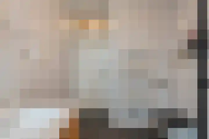D H van der Scheerstraat 12 Coevorden thumbnail 30