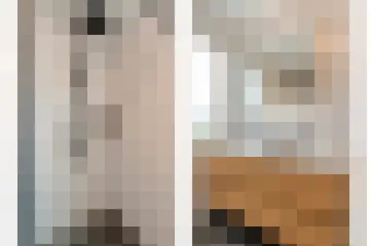 D H van der Scheerstraat 12 Coevorden thumbnail 31
