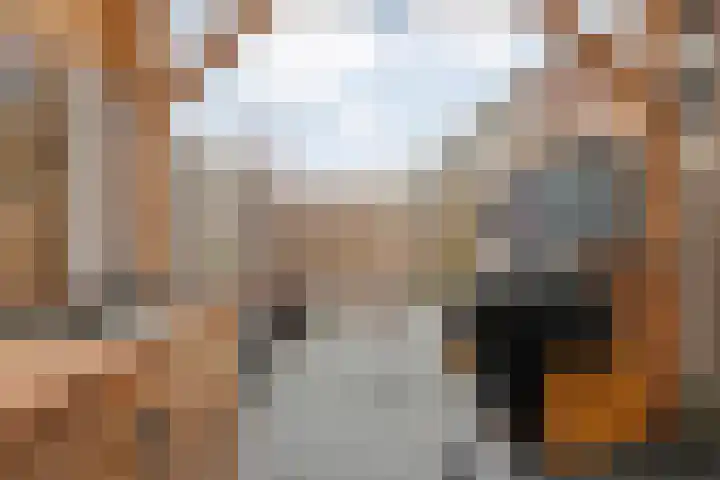 D H van der Scheerstraat 12 Coevorden thumbnail 33