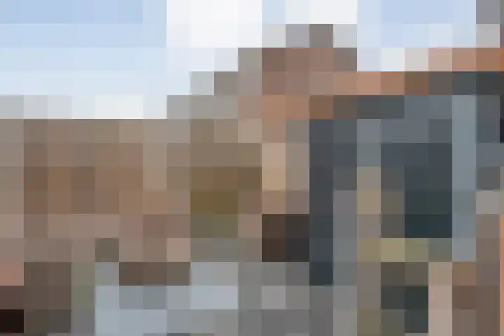 D H van der Scheerstraat 12 Coevorden thumbnail 34