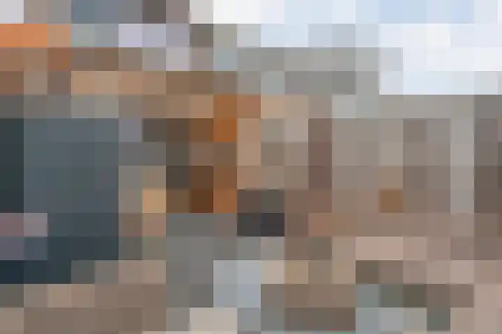 D H van der Scheerstraat 12 Coevorden thumbnail 36