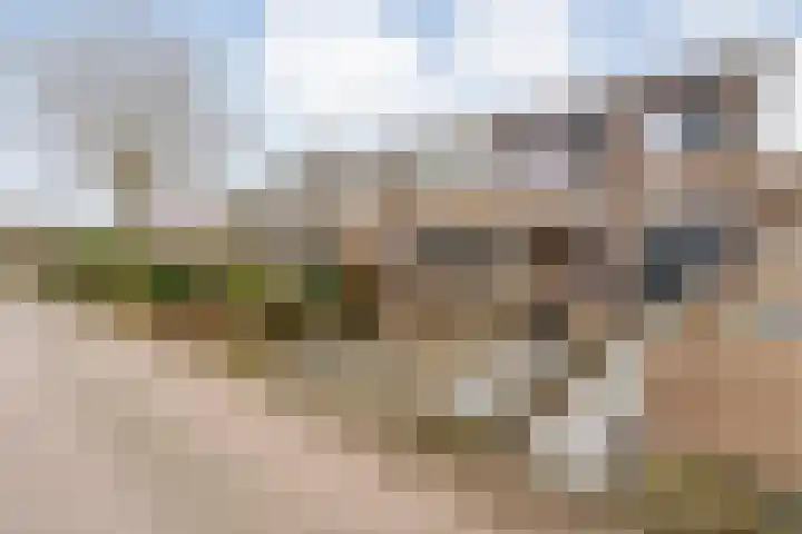 D H van der Scheerstraat 12 Coevorden thumbnail 4
