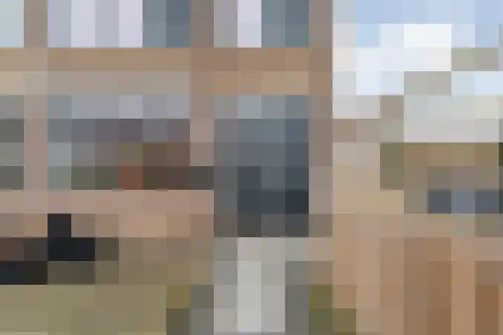 D H van der Scheerstraat 12 Coevorden thumbnail 5