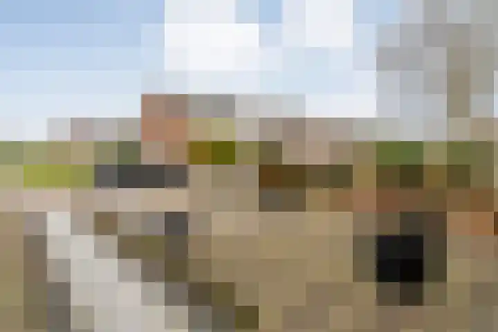 D H van der Scheerstraat 12 Coevorden thumbnail 6