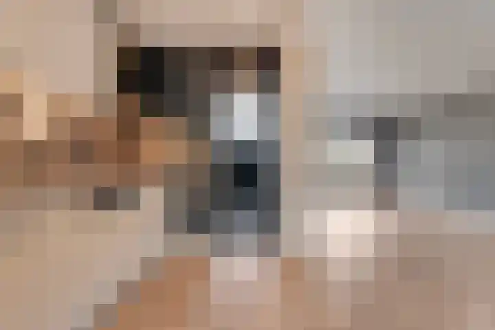 D H van der Scheerstraat 26 Coevorden thumbnail 11