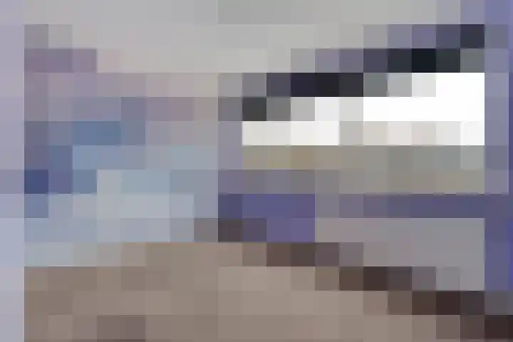 D H van der Scheerstraat 26 Coevorden thumbnail 21