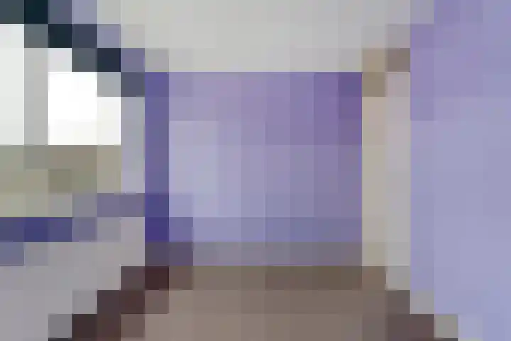 D H van der Scheerstraat 26 Coevorden thumbnail 22