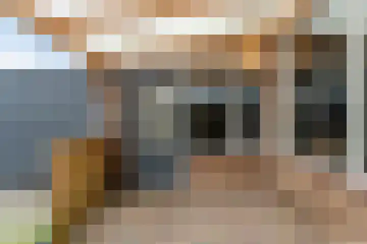 D H van der Scheerstraat 26 Coevorden thumbnail 28