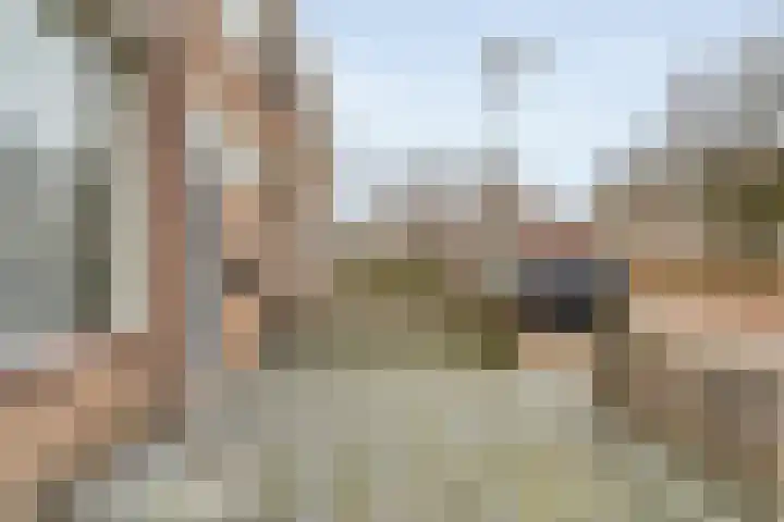 D H van der Scheerstraat 26 Coevorden thumbnail 4