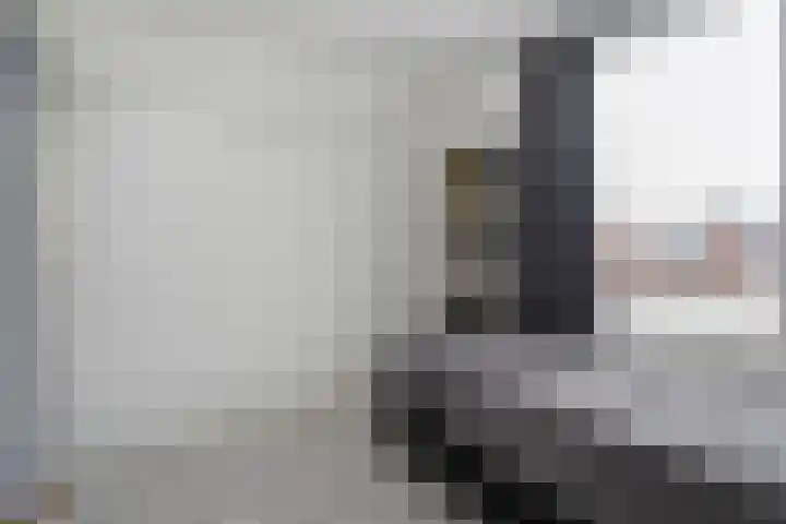 D H van der Scheerstraat 35 Coevorden thumbnail 22