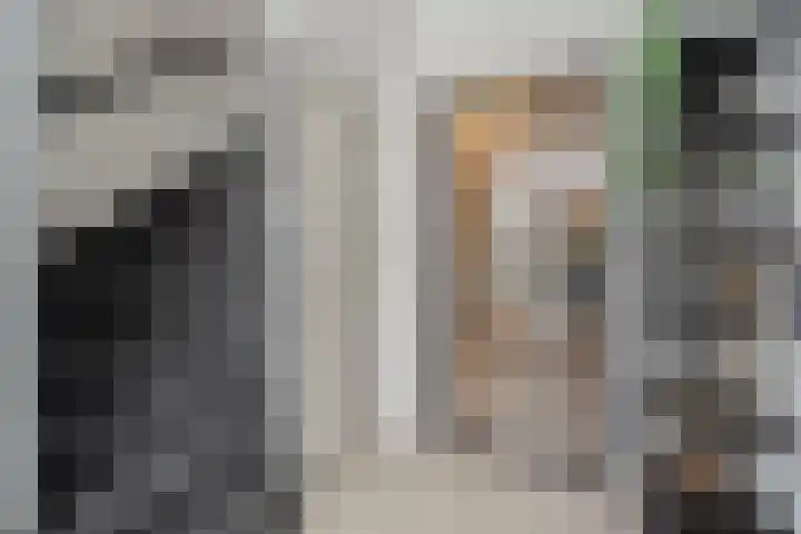 D H van der Scheerstraat 35 Coevorden thumbnail 5