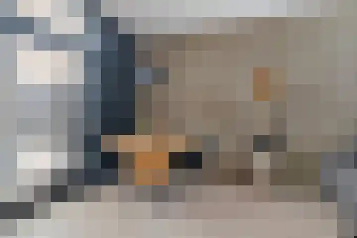 D H van der Scheerstraat 35 Coevorden thumbnail 9