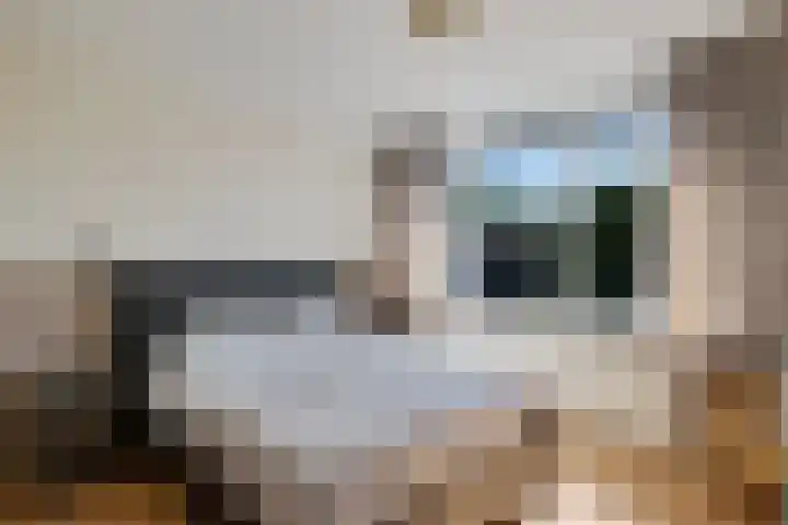 D H van der Scheerstraat 47 Coevorden thumbnail 22