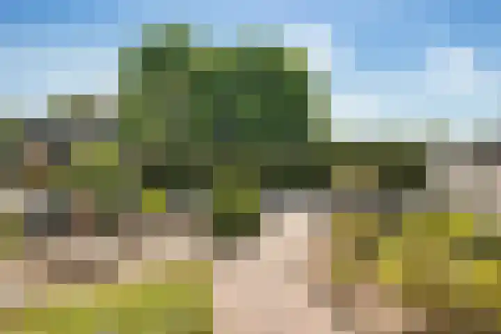 D H van der Scheerstraat 47 Coevorden thumbnail 5