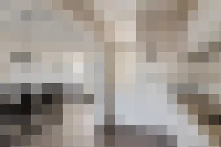 D H van der Scheerstraat 47 Coevorden thumbnail 9