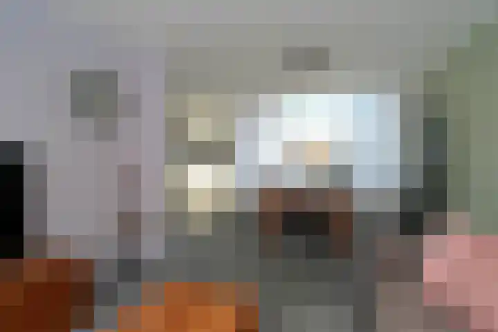 D H van der Scheerstraat 54 Coevorden thumbnail 12