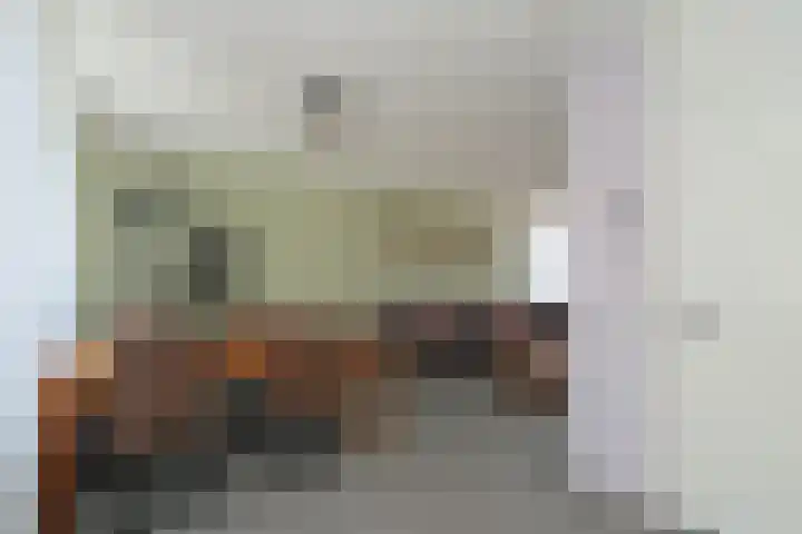D H van der Scheerstraat 54 Coevorden thumbnail 15