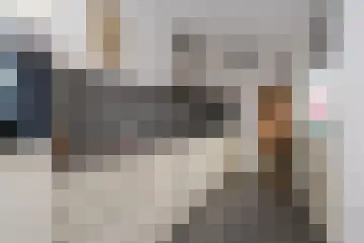 D H van der Scheerstraat 54 Coevorden thumbnail 17
