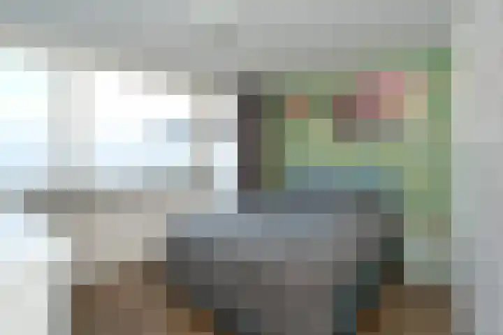 D H van der Scheerstraat 54 Coevorden thumbnail 21