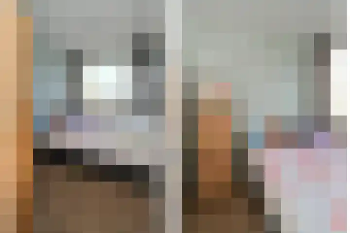 D H van der Scheerstraat 54 Coevorden thumbnail 22