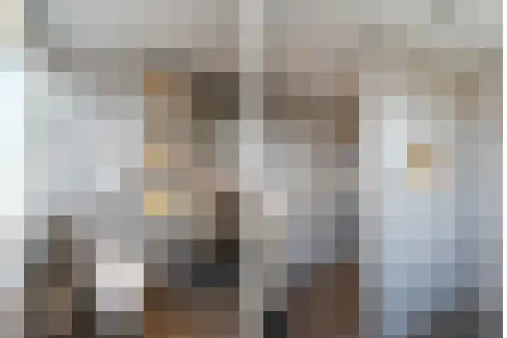 D H van der Scheerstraat 54 Coevorden thumbnail 26