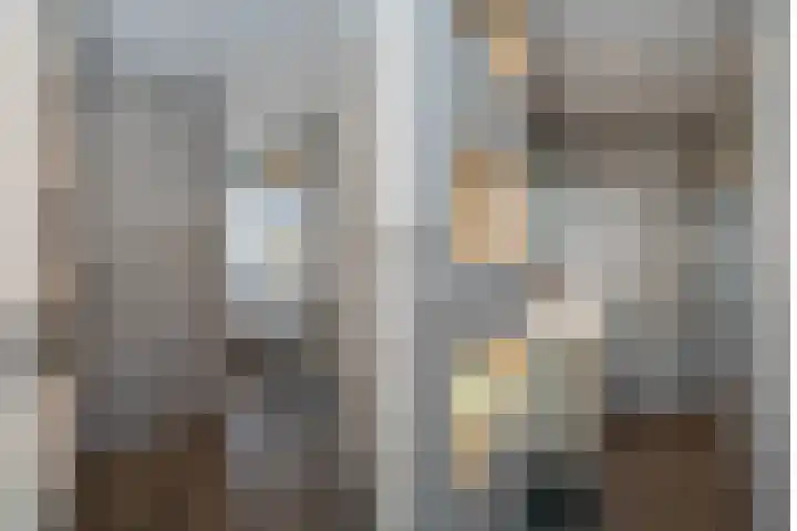 D H van der Scheerstraat 54 Coevorden thumbnail 27