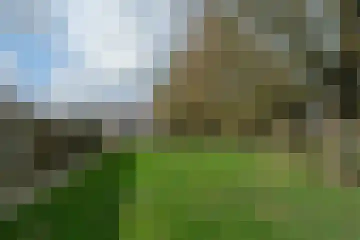D H van der Scheerstraat 54 Coevorden thumbnail 29