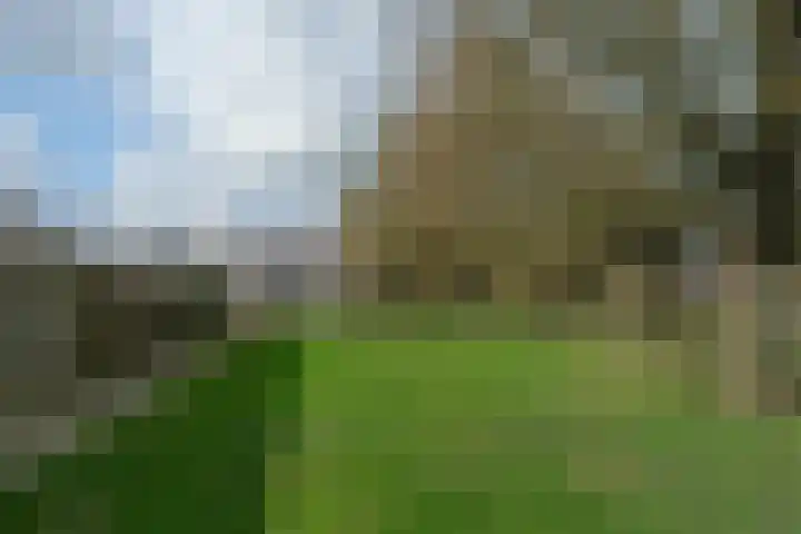 D H van der Scheerstraat 54 Coevorden thumbnail 5