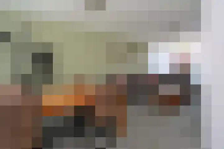 D H van der Scheerstraat 54 Coevorden thumbnail 9