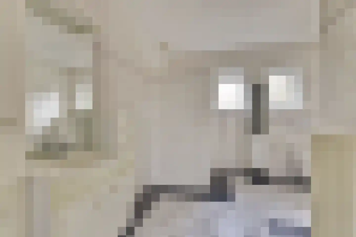 d'Heule 1 Nieuwerkerk thumbnail 24