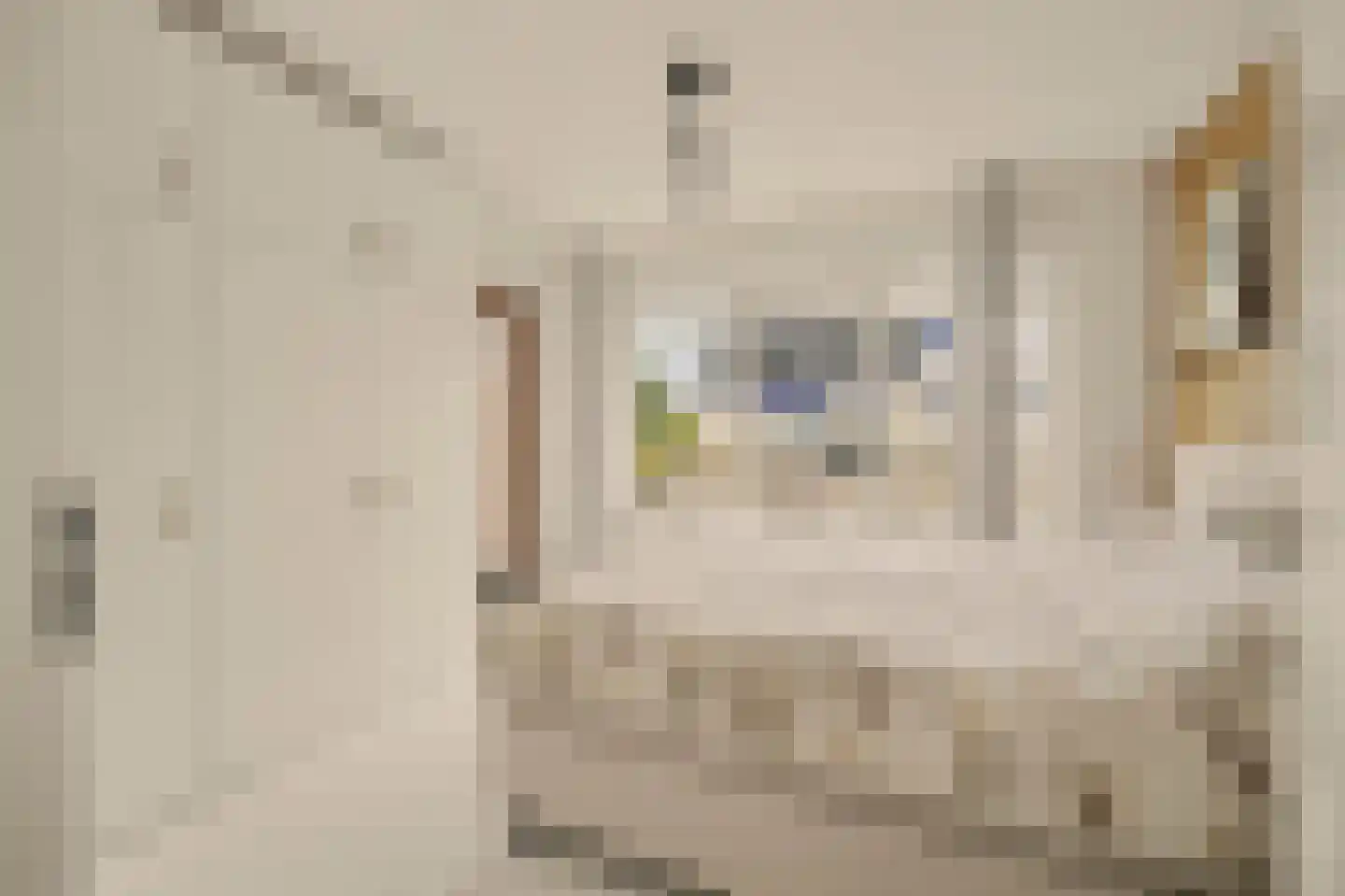 d'Heule 35 Nieuwerkerk thumbnail 21