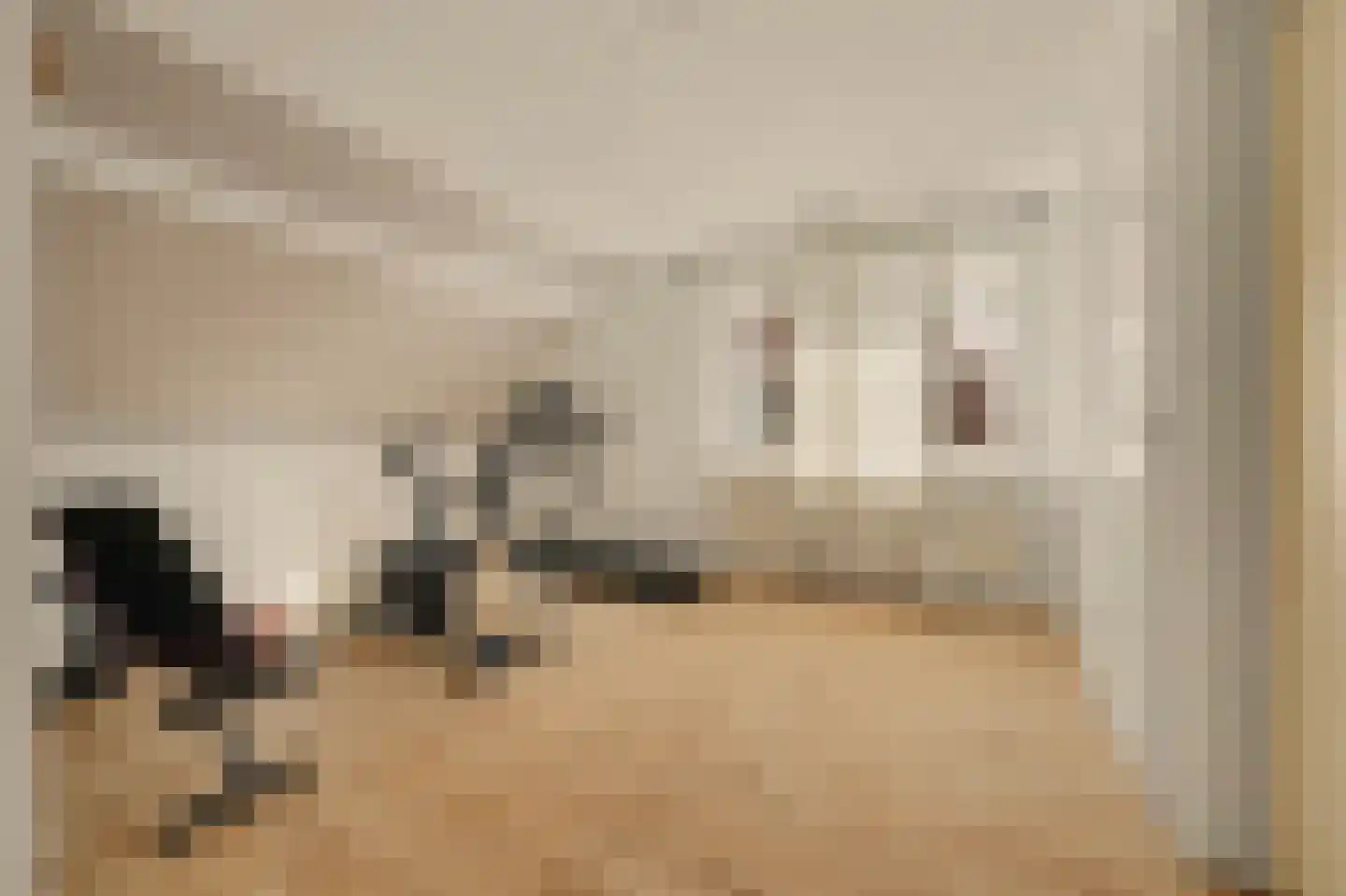 d'Heule 35 Nieuwerkerk thumbnail 27