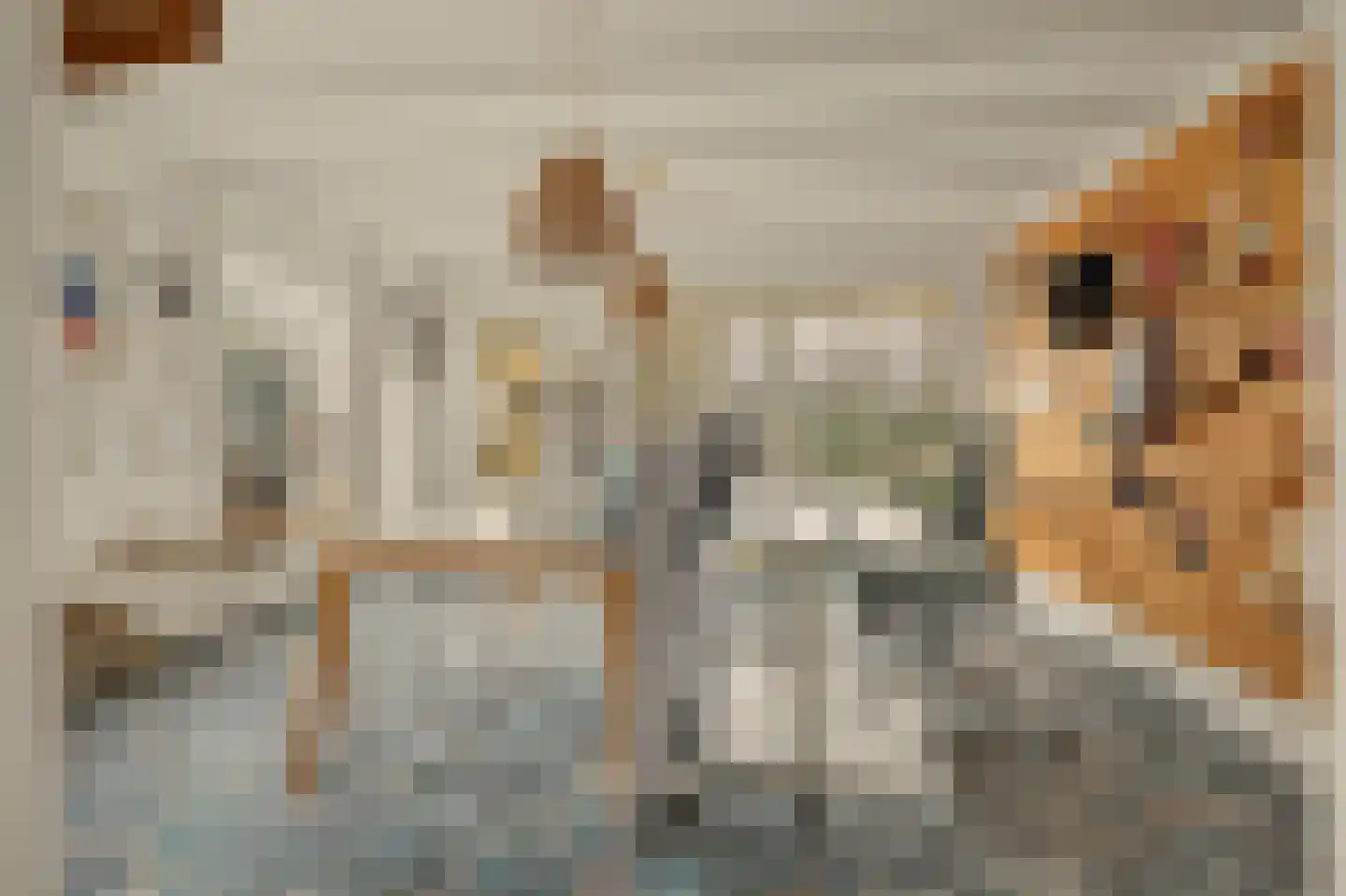 d'Heule 35 Nieuwerkerk thumbnail 33