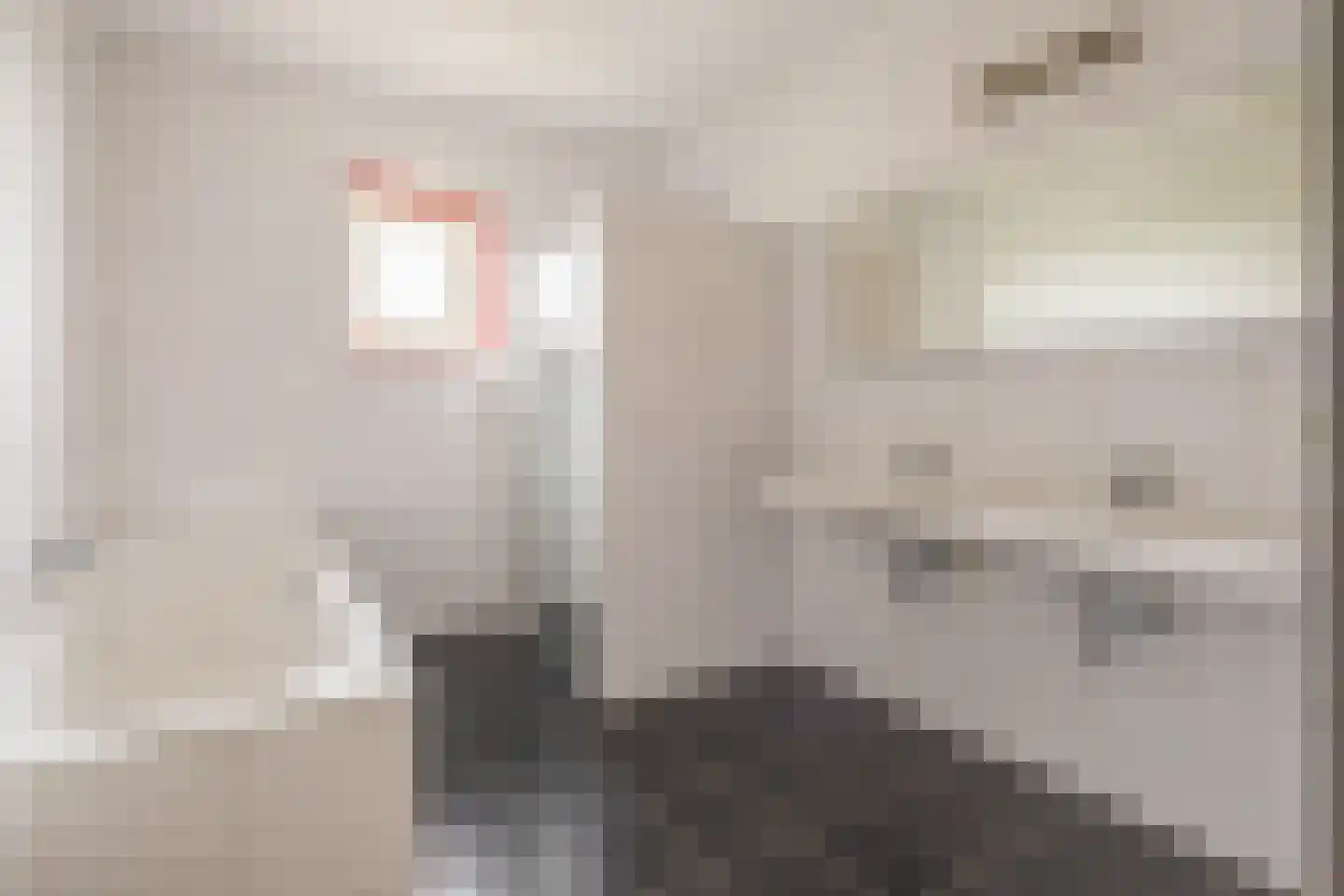 D. Hofstedestraat 13 Ter Aar thumbnail 19