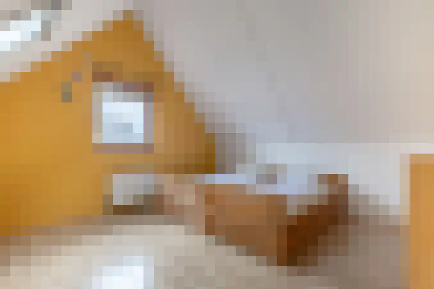 D. Hofstedestraat 13 Ter Aar thumbnail 27