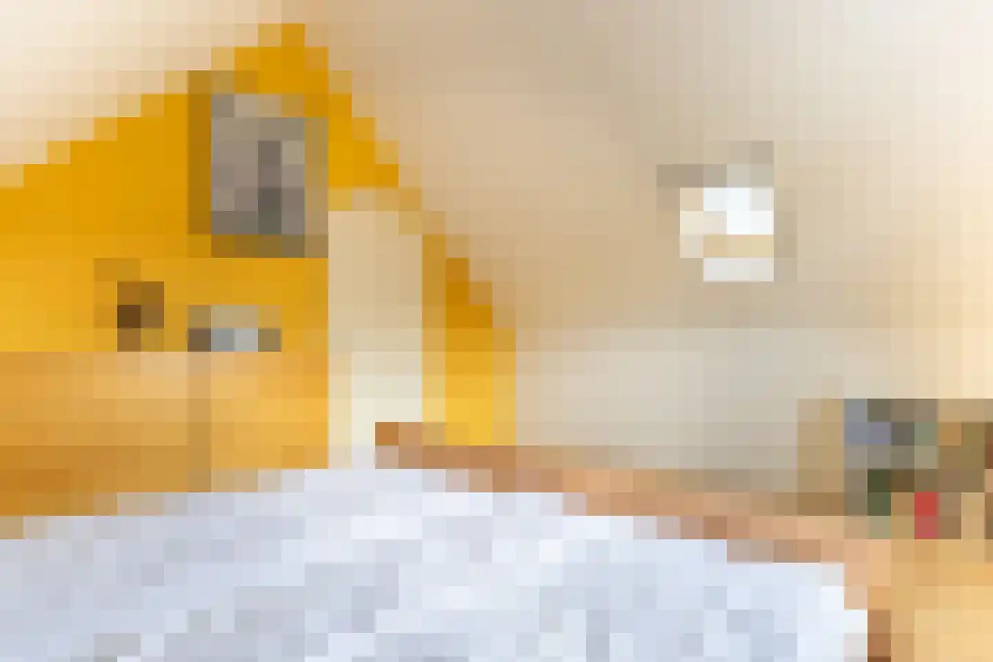 D. Hofstedestraat 13 Ter Aar thumbnail 28