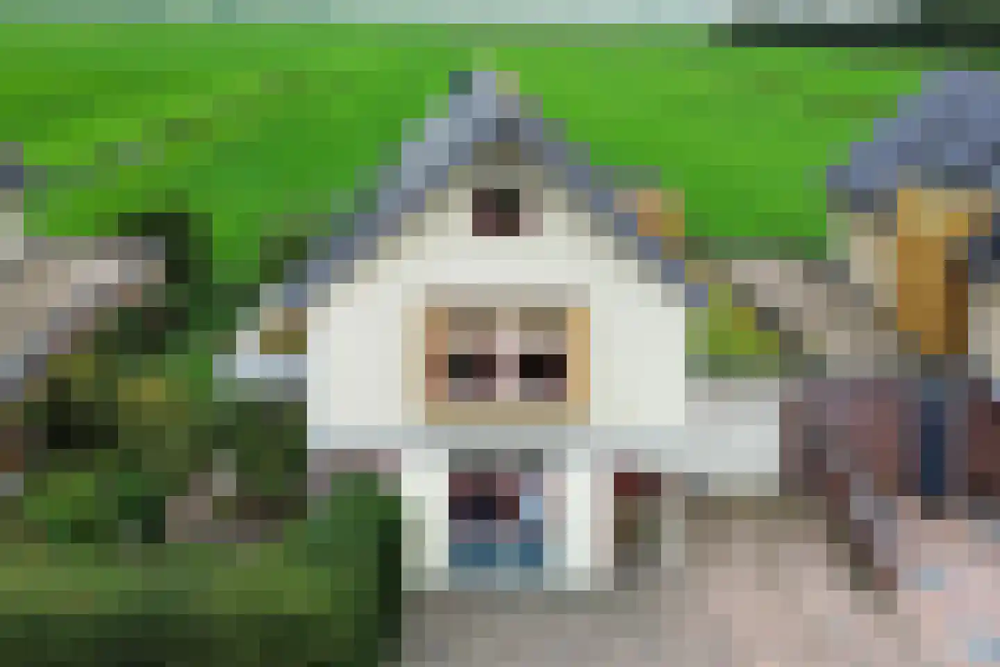 D. Hofstedestraat 13 Ter Aar thumbnail 32