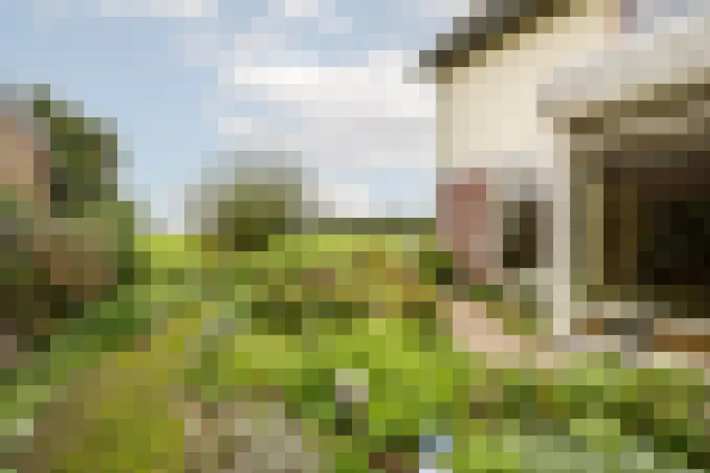 D. Hofstedestraat 13 Ter Aar thumbnail 34