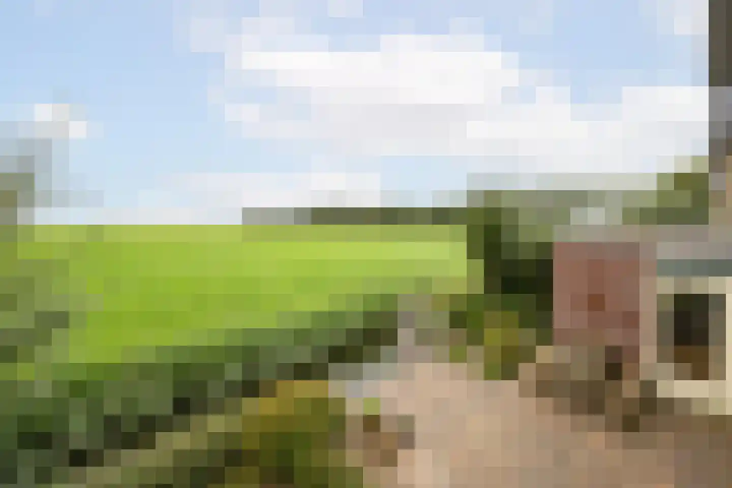 D. Hofstedestraat 13 Ter Aar thumbnail 36