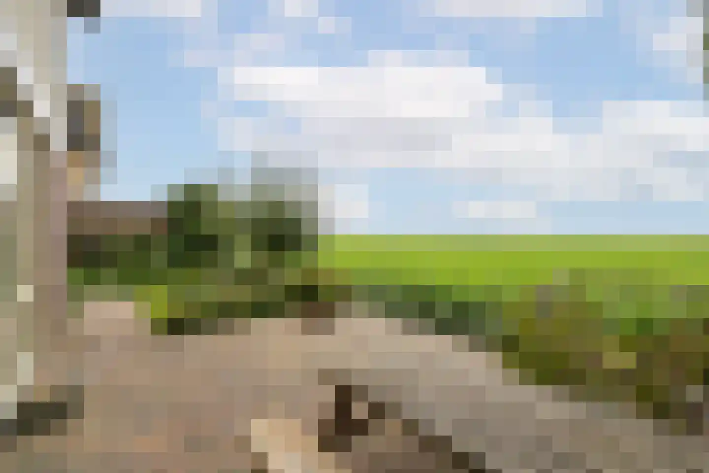 D. Hofstedestraat 13 Ter Aar thumbnail 38
