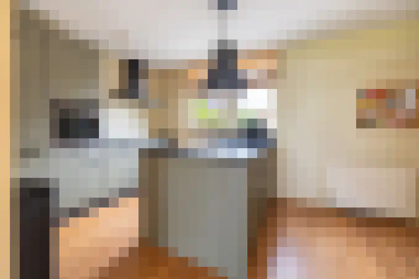 D. Hofstedestraat 13 Ter Aar thumbnail 7