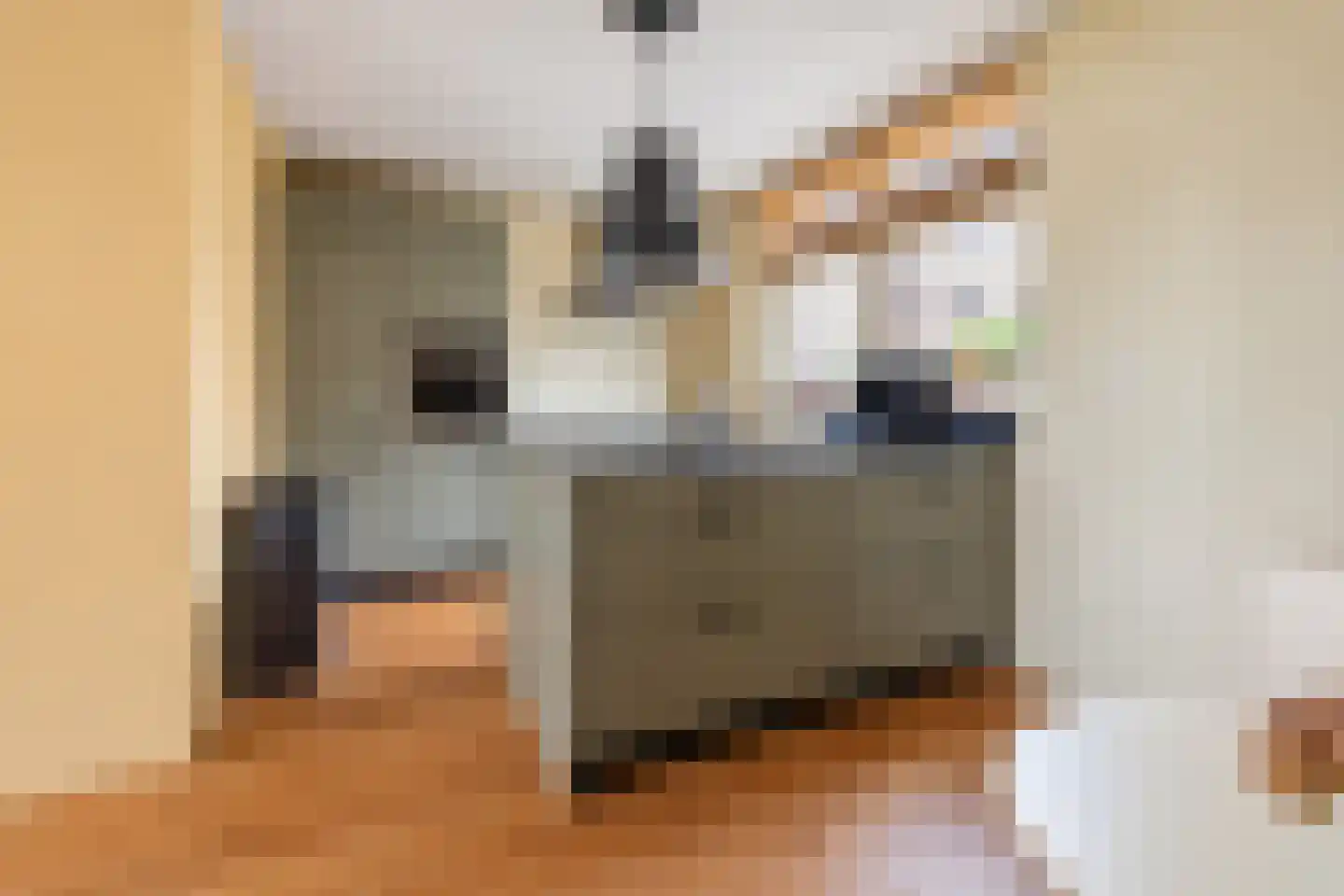 D. Hofstedestraat 13 Ter Aar thumbnail 9