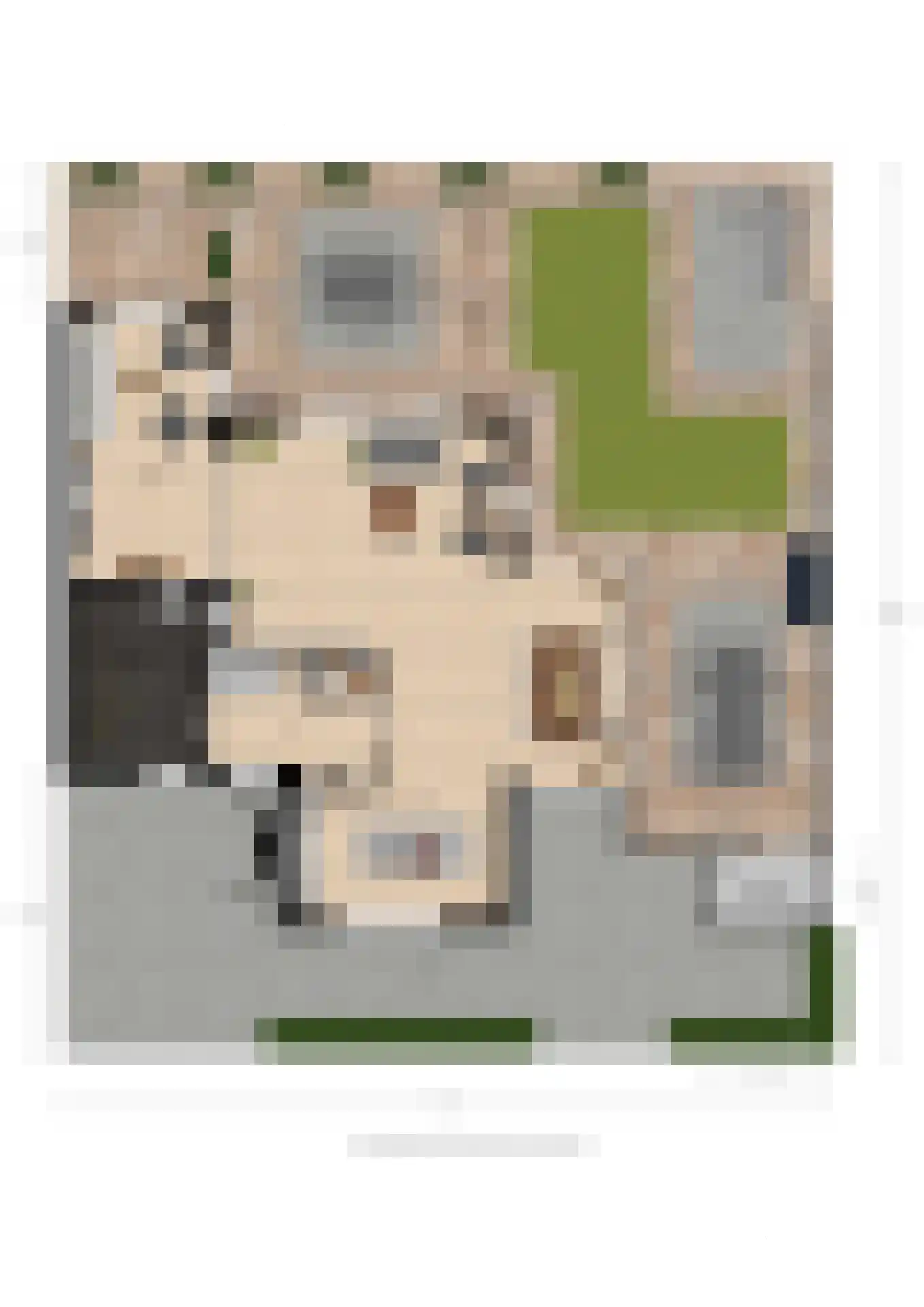 D. Hofstedestraat 15 Ter Aar thumbnail 100