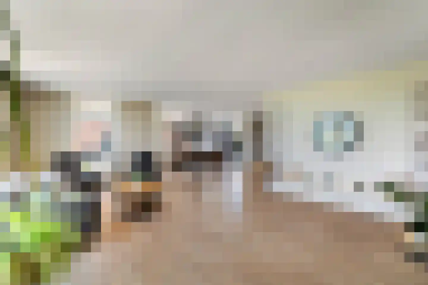 D. Hofstedestraat 15 Ter Aar thumbnail 20