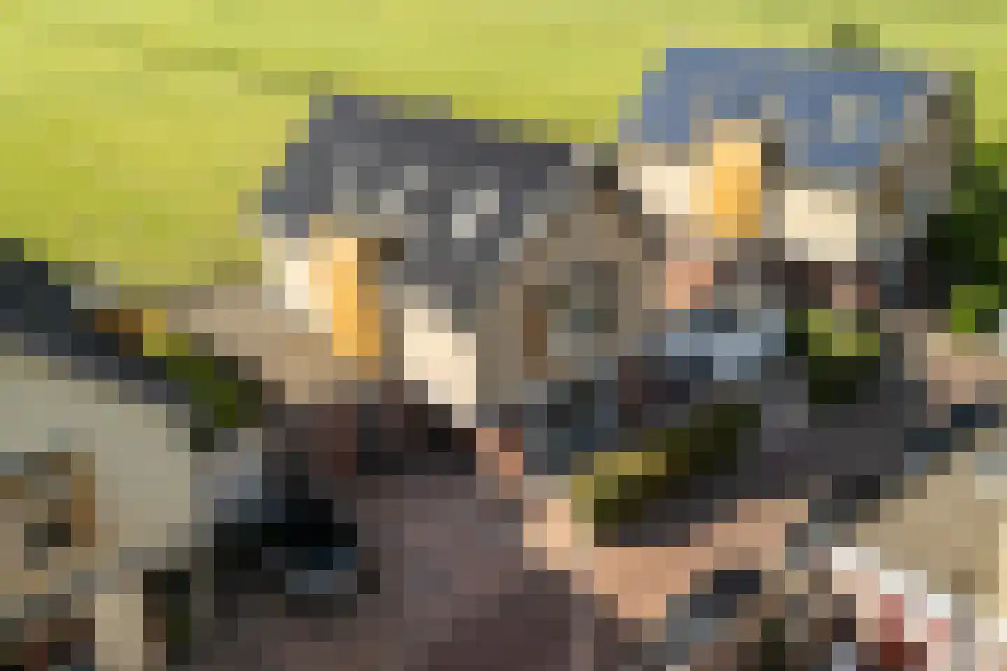 D. Hofstedestraat 15 Ter Aar thumbnail 5
