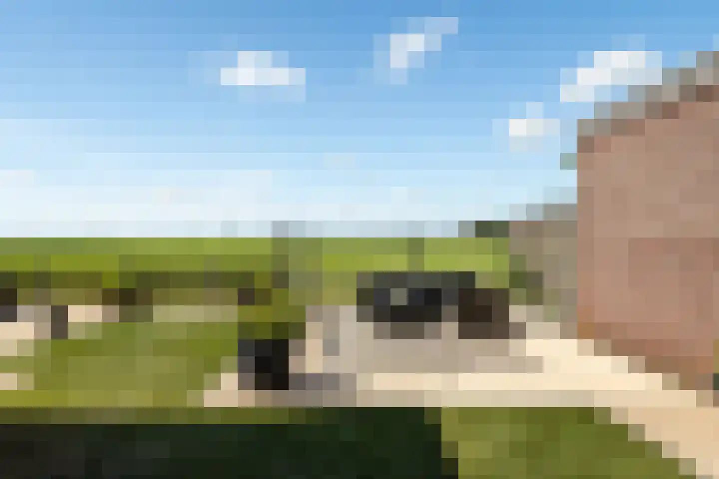 D. Hofstedestraat 15 Ter Aar thumbnail 50