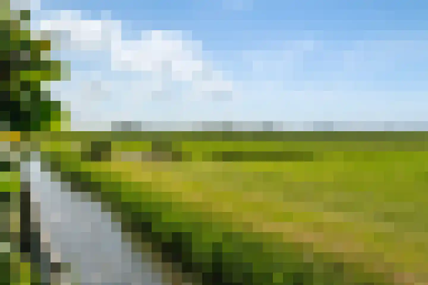 D. Hofstedestraat 15 Ter Aar thumbnail 54