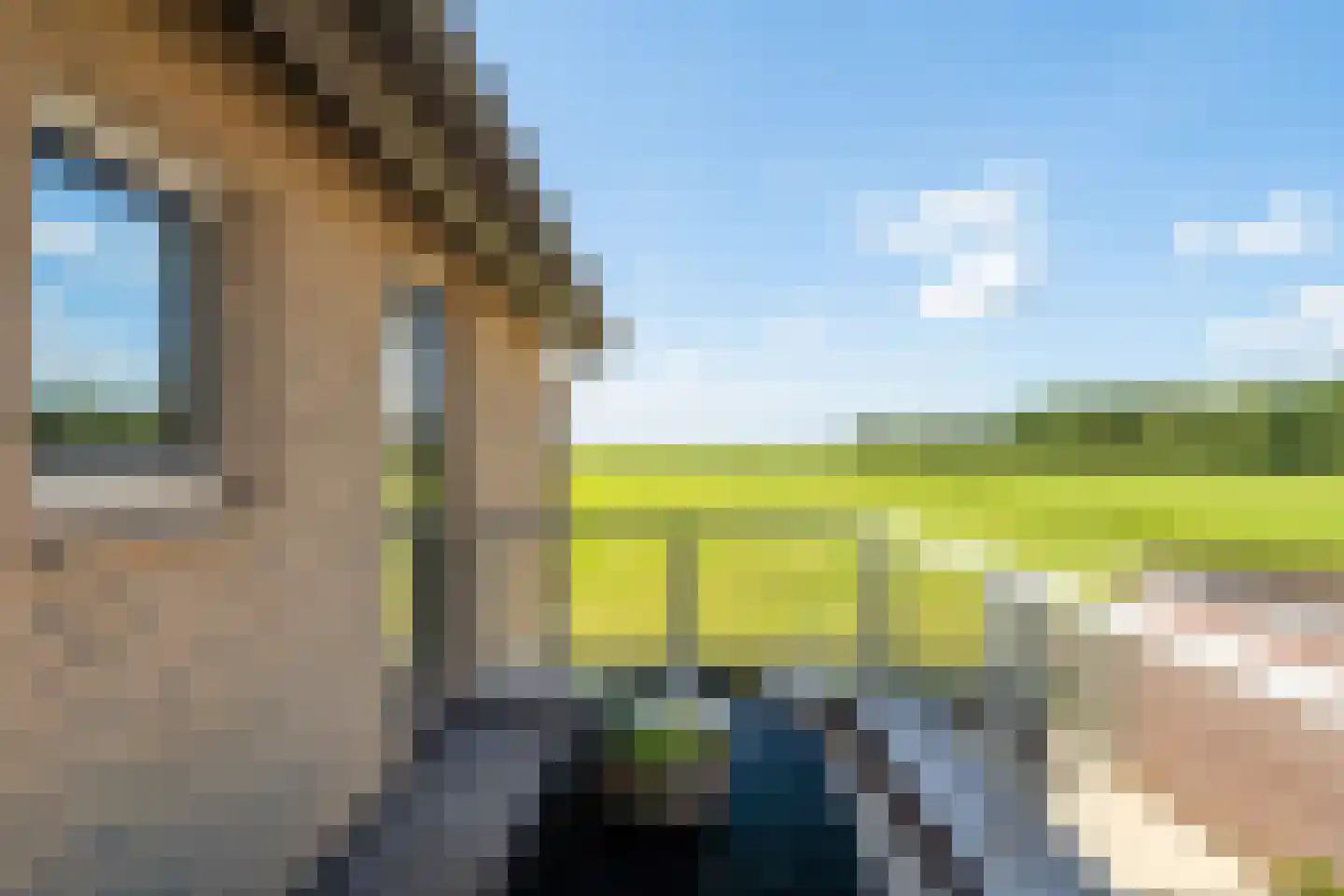 D. Hofstedestraat 15 Ter Aar thumbnail 70