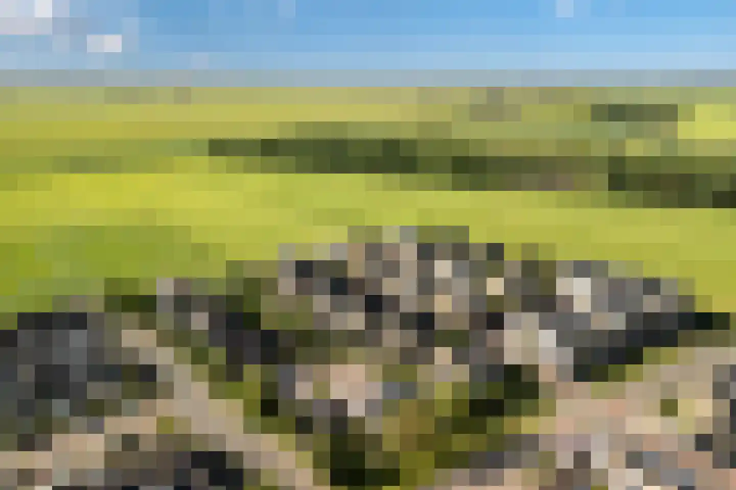 D. Hofstedestraat 15 Ter Aar thumbnail 91