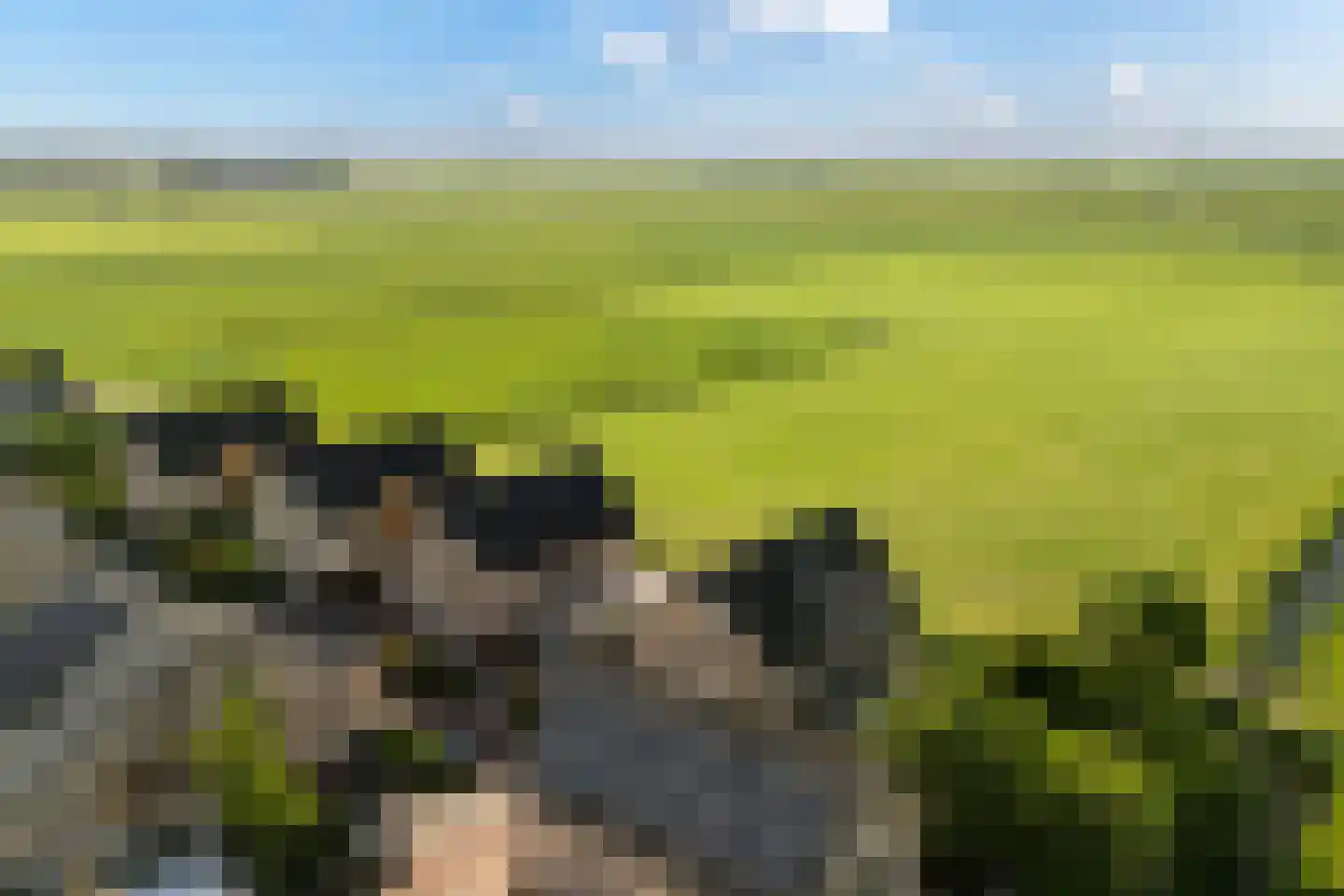 D. Hofstedestraat 15 Ter Aar thumbnail 94